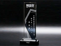 中国科技创新奖